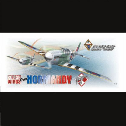 Kubek Polish wings over Normandy